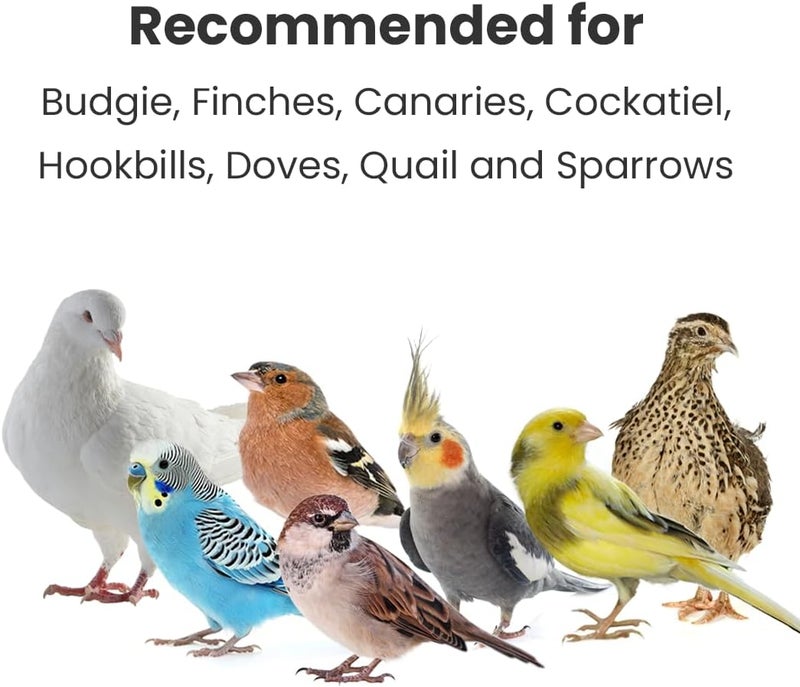 Brandsfinity 10kgs Bird Food for Small Birds – White Millet Bird Feed for Budgies, Canaries, Zebra Finches, Love Birds, Birdhouses, Outdoor Feeders - Image 5