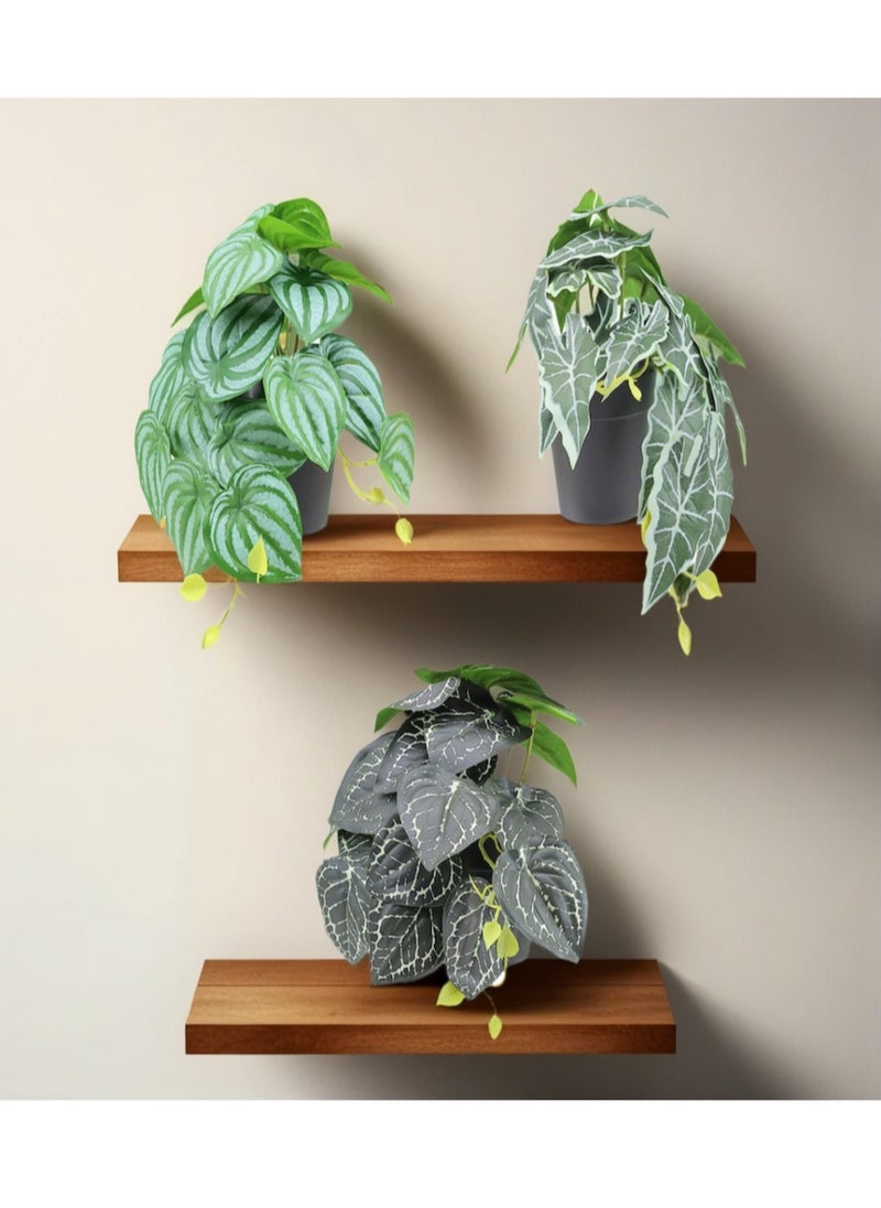 YASMINARA 3-Pack Potted Green Plants Set- Triple Mini Artificial Plants Combo with Ivy, Pepper Leaves, and Water Melon Leaves-Home Office Bookshelf Botanical Greenery Decor  - Image 5