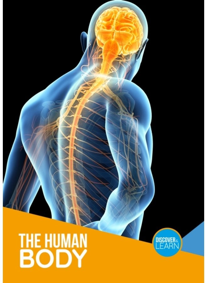 The Human Body - Paperback