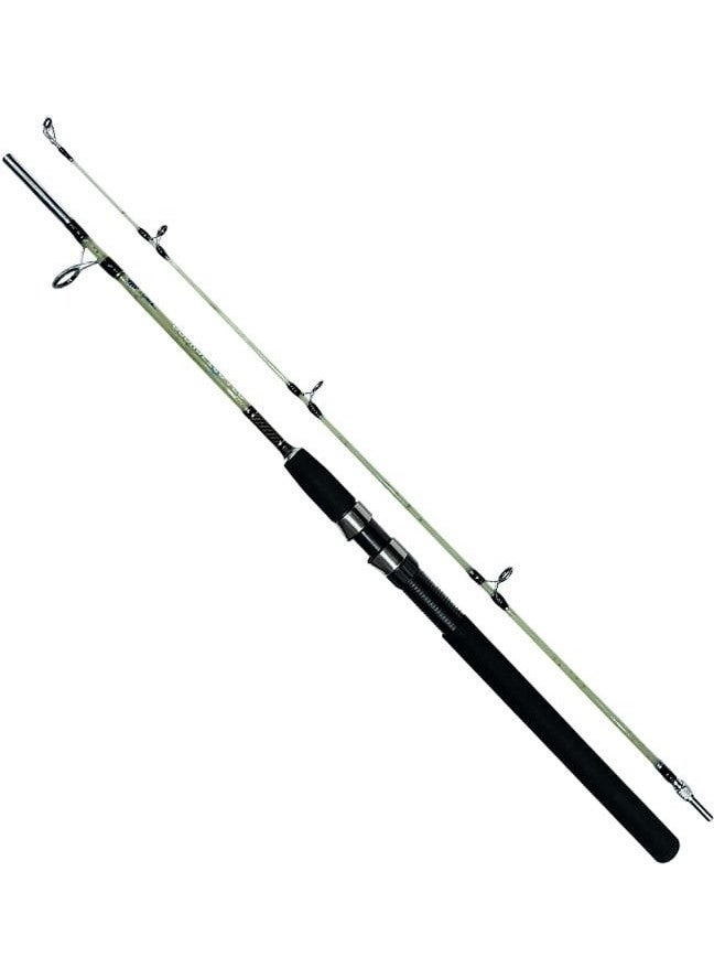 Rodmaster 150 cm Green Filled Fishing Rod - pzsku/Z54704FAFBF6051371E6EZ/45/_/1740660846/803ed256-36a7-452b-a3cb-1249db437852