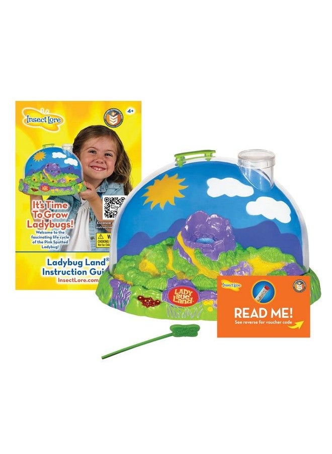 Insect Lore - Live Ladybug Growing Kit Toy Unisexchildren Original Ladybug Land - Image 1