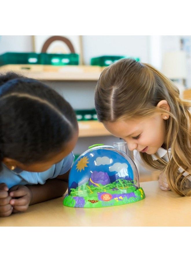 Insect Lore - Live Ladybug Growing Kit Toy Unisexchildren Original Ladybug Land - Image 1