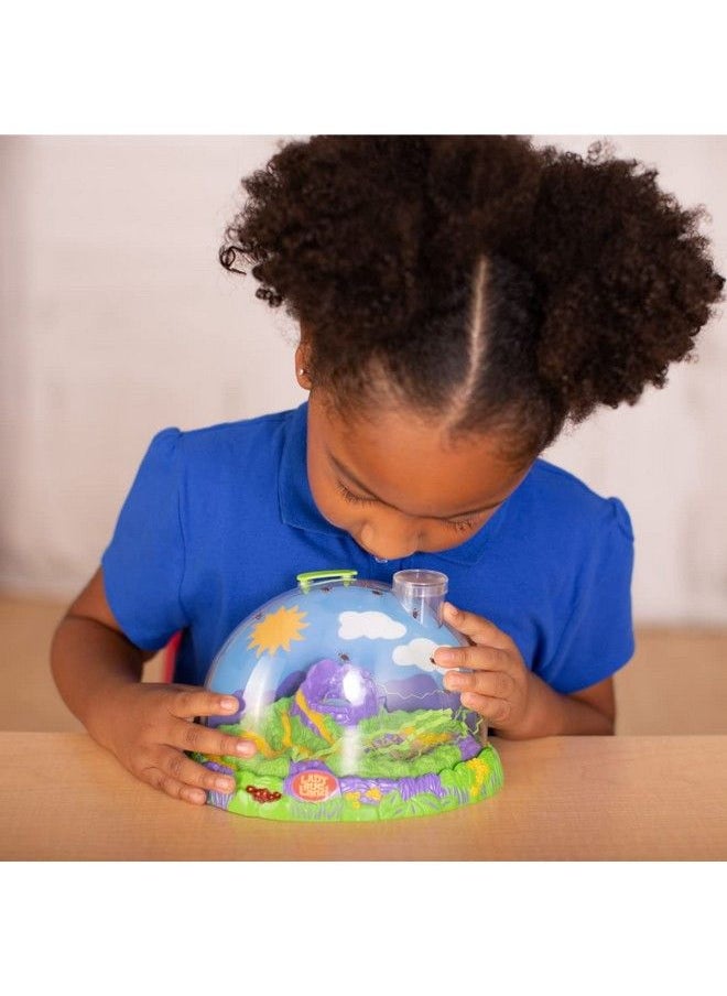 Insect Lore - Live Ladybug Growing Kit Toy Unisexchildren Original Ladybug Land - Image 1