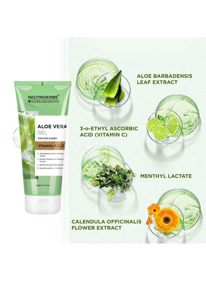 NEUTRIHERBS Aloe Vera Gel Pure Aloe Vera Juice With Vitamin A C E For Sunburns Acne Dry Skin And Itch Soothing And Moisturing 6.7 Fl Oz  - Image 3