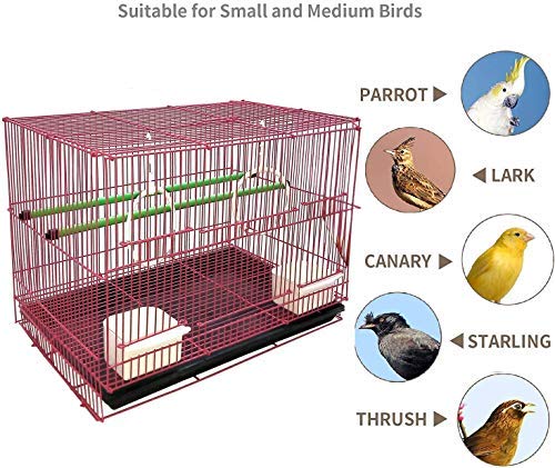 Aakriti Bird Metal Cage for Lovebird, Parrot, Parakeet, Budgie, Cockatiel - Large Hammock (23.5" Long, 16.5" Wide, 16" Height) - Color May Vary - Image 4