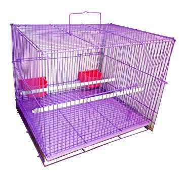 Aakriti Bird Metal Cage for Lovebird, Parrot, Parakeet, Budgie, Cockatiel - Large Hammock (23.5" Long, 16.5" Wide, 16" Height) - Color May Vary - Image 3