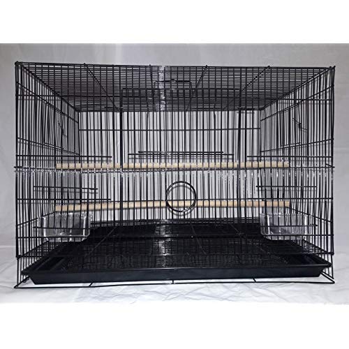 Aakriti Bird Metal Cage for Lovebird, Parrot, Parakeet, Budgie, Cockatiel - Large Hammock (23.5" Long, 16.5" Wide, 16" Height) - Color May Vary - Image 5