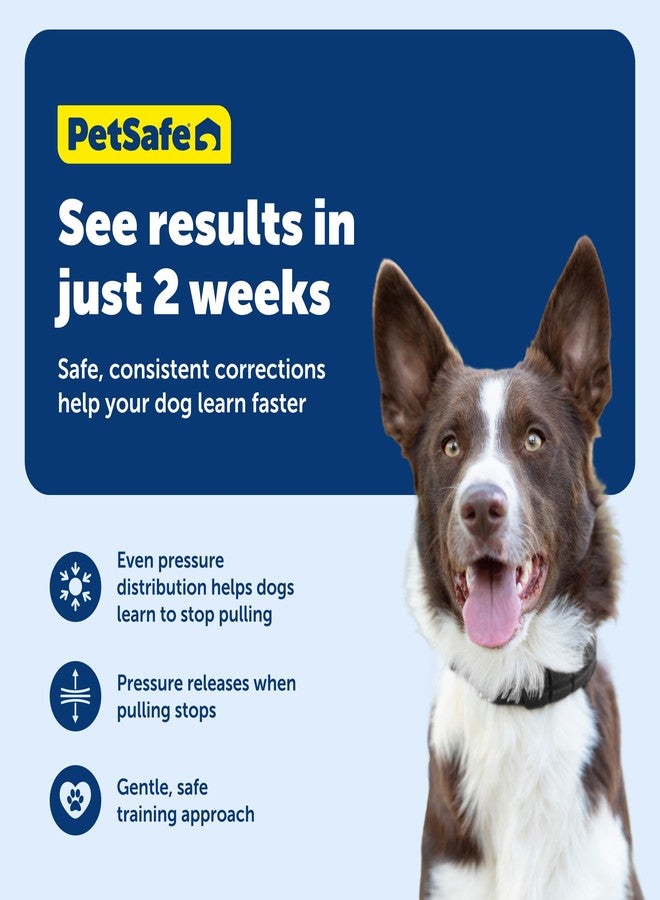 بيت سيف طوق تدريب PetSafe ذو النقاط الناعمة - طوق مريح قابل للتعديل وسريع الفك، يمنع الشد، مزود بنقاط مطاطية ناعمة قابلة للإزالة - تدريب خالٍ من الألم لتحسين سلوك الكلب أثناء المشي بالزمام - كبير - أسود - Image 4