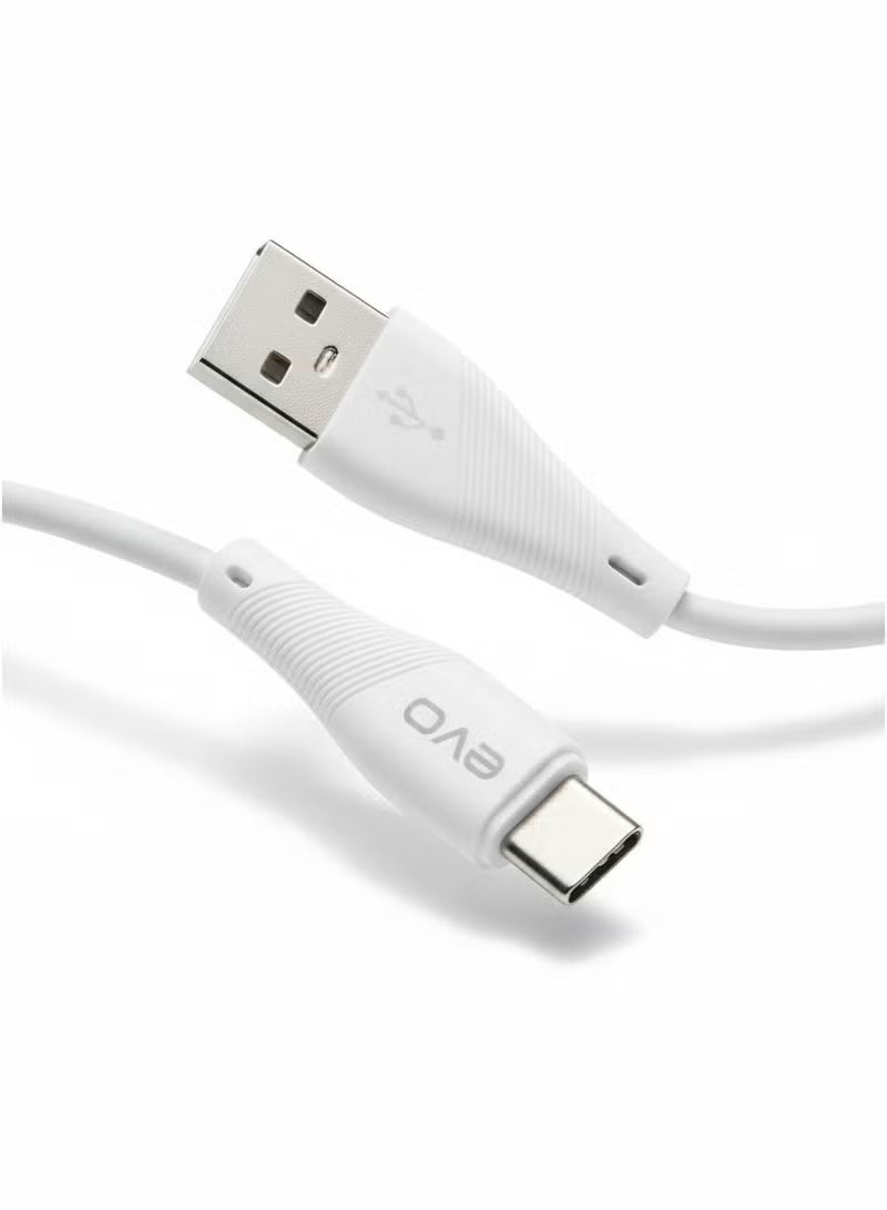 إيفو كابل evo من نوع Type-C للشحن السريع ونقل البيانات (2.4 أمبير) B04T - Image 1