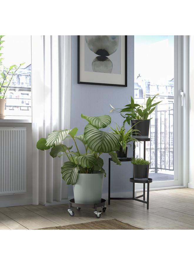 Green Tiger Plant Mover, In/Outdoor Dark Grey, 32 Cm - Image 3