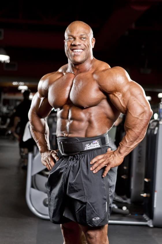 Schiek حزام رفع الأثقال من شايك موديل 2004 نايلون 4 3/4" - Image 5