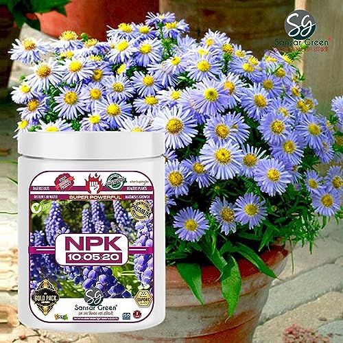 Sansar Green® NPK 10:05:20 for Plants (900 gm) - Image 4