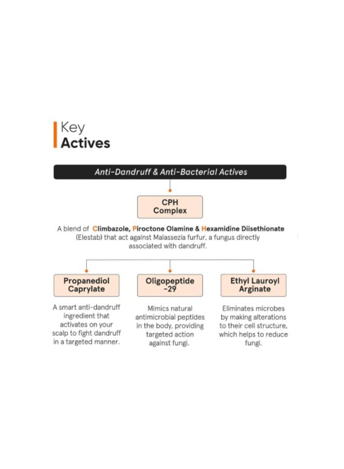 منيماليست سيروم مضاد لقشرة الشعر لفروة الرأس | علاج ما قبل الشامبو بمركب سي بي إتش وأوليغوببتيد 0.8% | مع جزيء إليستاب المتطور المضاد للقشرة | للنساء والرجال | 50 مل - Image 5