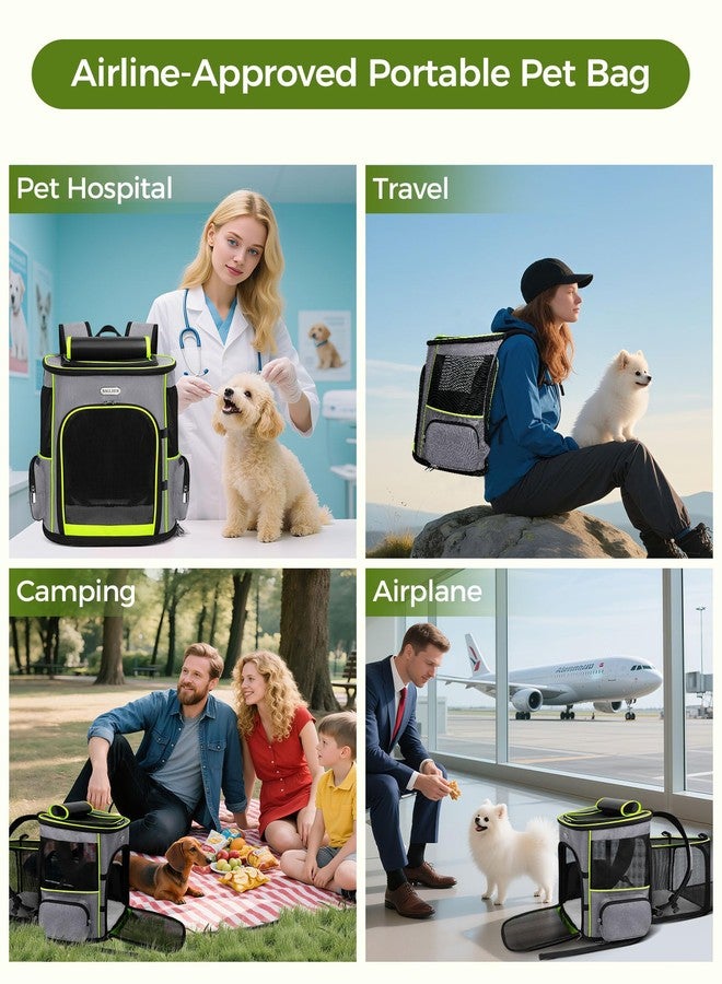 BAGLHER حقيبة ظهر قابلة للتوسيع لحمل القطط من BAGLHER، حقيبة ظهر قابلة للسحب لحمل الحيوانات الأليفة الصغيرة من الكلاب والقطط مع شبكة تسمح بالتهوية، حقيبة سفر تتحمل وزنًا يصل إلى 8 كيلوغرامات للمشي والتخييم في الهواء الطلق - رمادي - Image 2