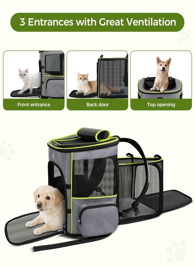 BAGLHER حقيبة ظهر قابلة للتوسيع لحمل القطط من BAGLHER، حقيبة ظهر قابلة للسحب لحمل الحيوانات الأليفة الصغيرة من الكلاب والقطط مع شبكة تسمح بالتهوية، حقيبة سفر تتحمل وزنًا يصل إلى 8 كيلوغرامات للمشي والتخييم في الهواء الطلق - رمادي - Image 4