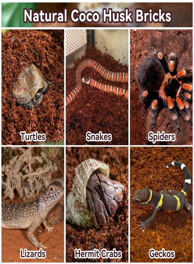 Legigo 4 Pack Compressed Coconut Fiber Substrate - 100% Organic Coconut Fiber Brick Bedding for Reptiles, Natural Coco Husk Substrate Terrarium Bedding for Snake, Hermit Crabs, Frogs, Tortoise, Gecko - Image 5