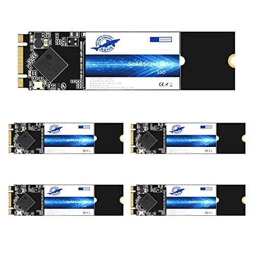 THREE COLOUR DOGFISH Dogfish M.2 SSD 64GB SATA III 6 Gb/s, M.2 (2280mm) Internal Solid State Drive - Compatible with Desktop PC Laptop (M.2 2280, 64GB*5Pack) - Image 1