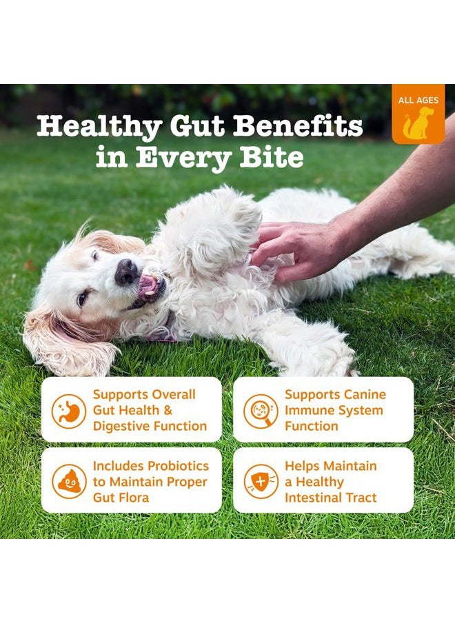 Zesty Paws Probiotics for Dogs - Digestive Enzymes for Gut Flora, Digestive Health, Diarrhea & Bowel Support - Clinically Studied DE111 - Dog Supplement Soft Chew for Pet Immune System - Adv, 90ct  - Image 2