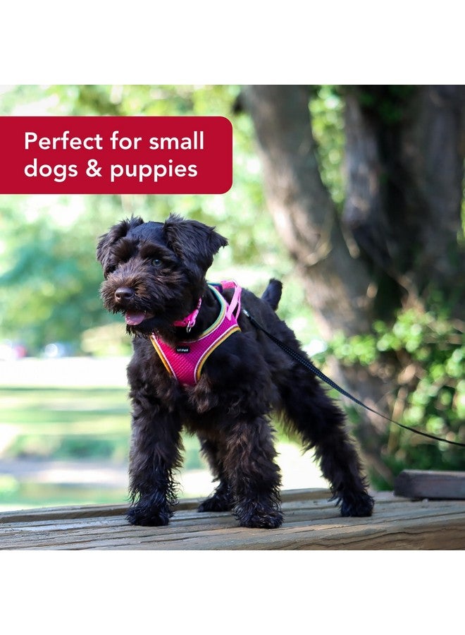 كوستال حزام كلب شبكي مريح من Coastal Pet Li'l Pals - حزام سهل الارتداء بدون سحب للكلاب الصغيرة والجراء - سترة تبريد للكلاب - لون أوركيد - 3/8 بوصة × 8 بوصة - 10 بوصة - Image 3