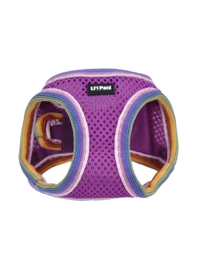 كوستال حزام كلب شبكي مريح من Coastal Pet Li'l Pals - حزام سهل الارتداء بدون سحب للكلاب الصغيرة والجراء - سترة تبريد للكلاب - لون أوركيد - 3/8 بوصة × 8 بوصة - 10 بوصة - Image 1