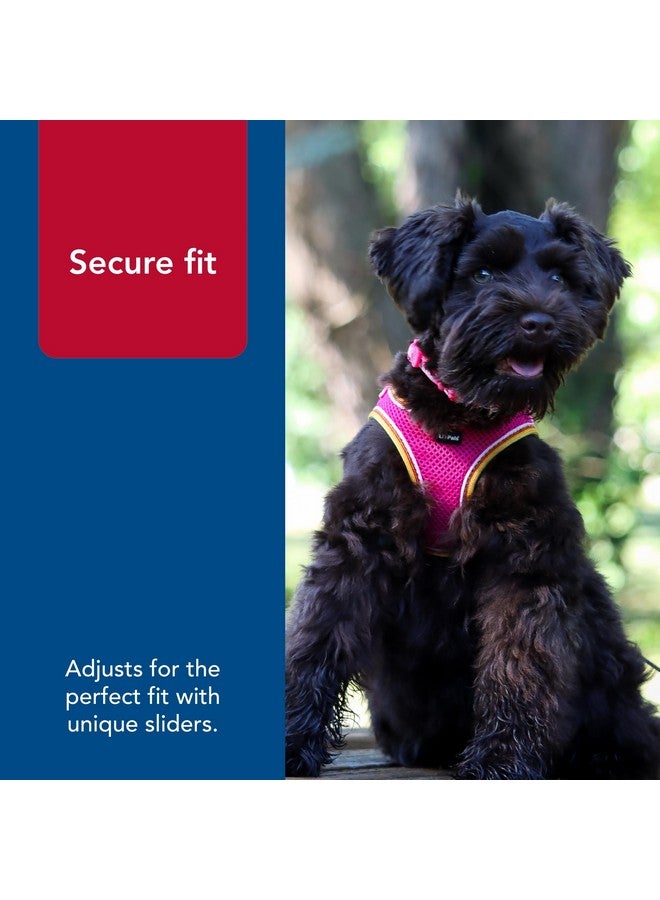 كوستال حزام كلب شبكي مريح من Coastal Pet Li'l Pals - حزام سهل الارتداء بدون سحب للكلاب الصغيرة والجراء - سترة تبريد للكلاب - لون أوركيد - 3/8 بوصة × 8 بوصة - 10 بوصة - Image 5
