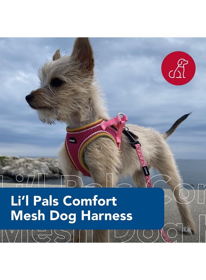كوستال حزام كلب شبكي مريح من Coastal Pet Li'l Pals - حزام سهل الارتداء بدون سحب للكلاب الصغيرة والجراء - سترة تبريد للكلاب - لون أوركيد - 3/8 بوصة × 8 بوصة - 10 بوصة - Image 2