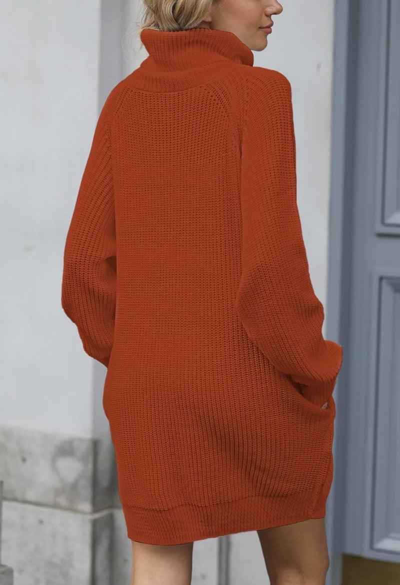 Pink Queen Women's Loose Turtleneck Oversize Long Pullover Sweater Dress Brown S - Image 3