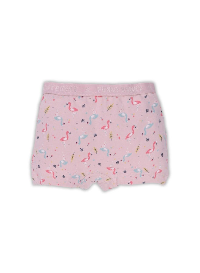 فاني باني باك يحتوي علي 6 قطع اندروير هوت شورت بناتي قطن - Image 3