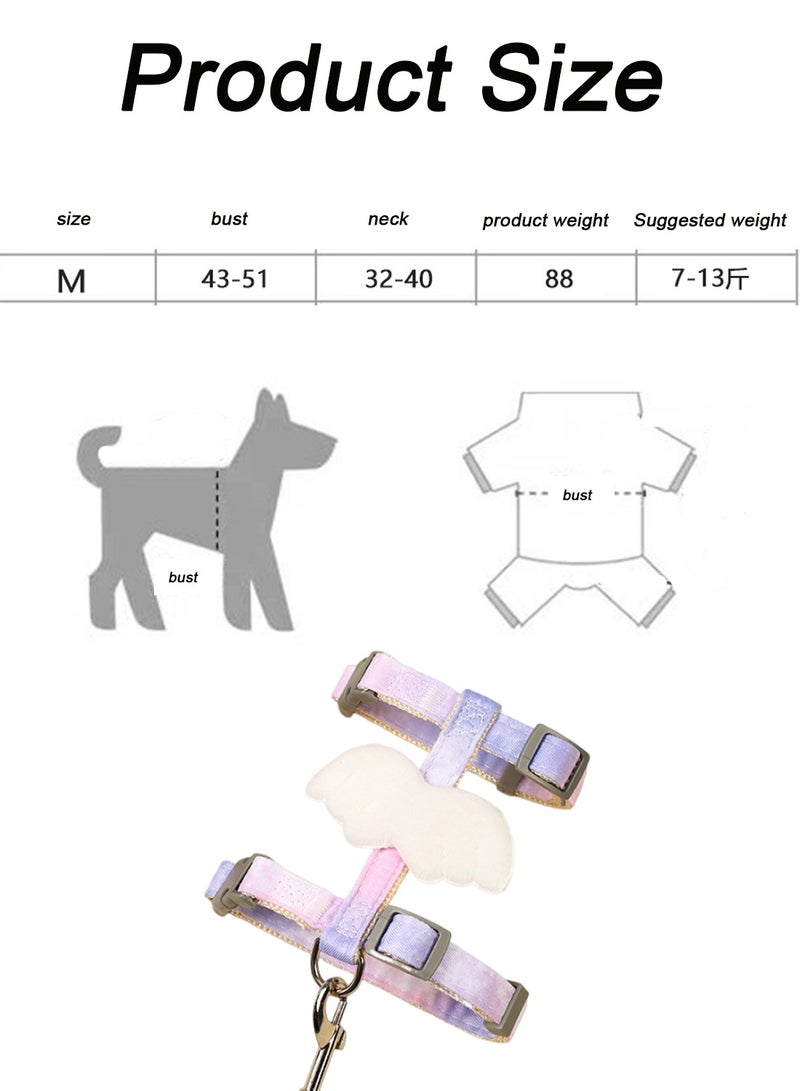 كيدل الأبحاث المتعلقة ب القط المشي حزام من الجلد - Image 2