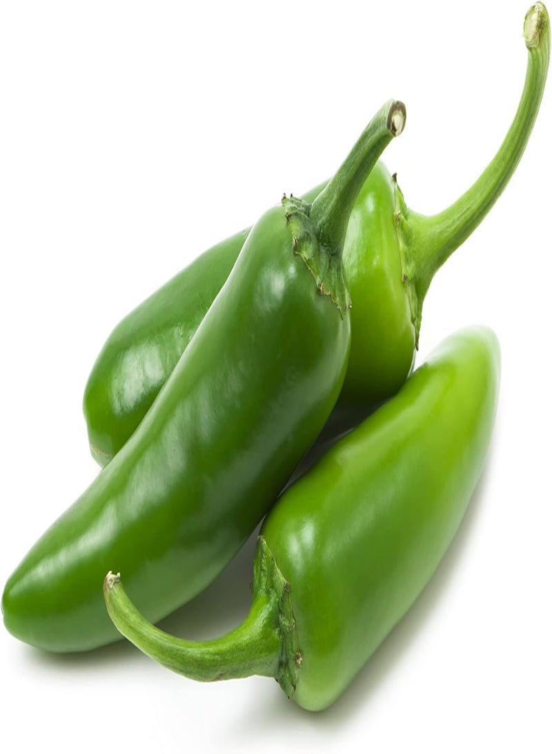GGOOT Jalapeno Pepper Seeds - Jalapeño Chillies Quality Heirloom Seed - Image 1