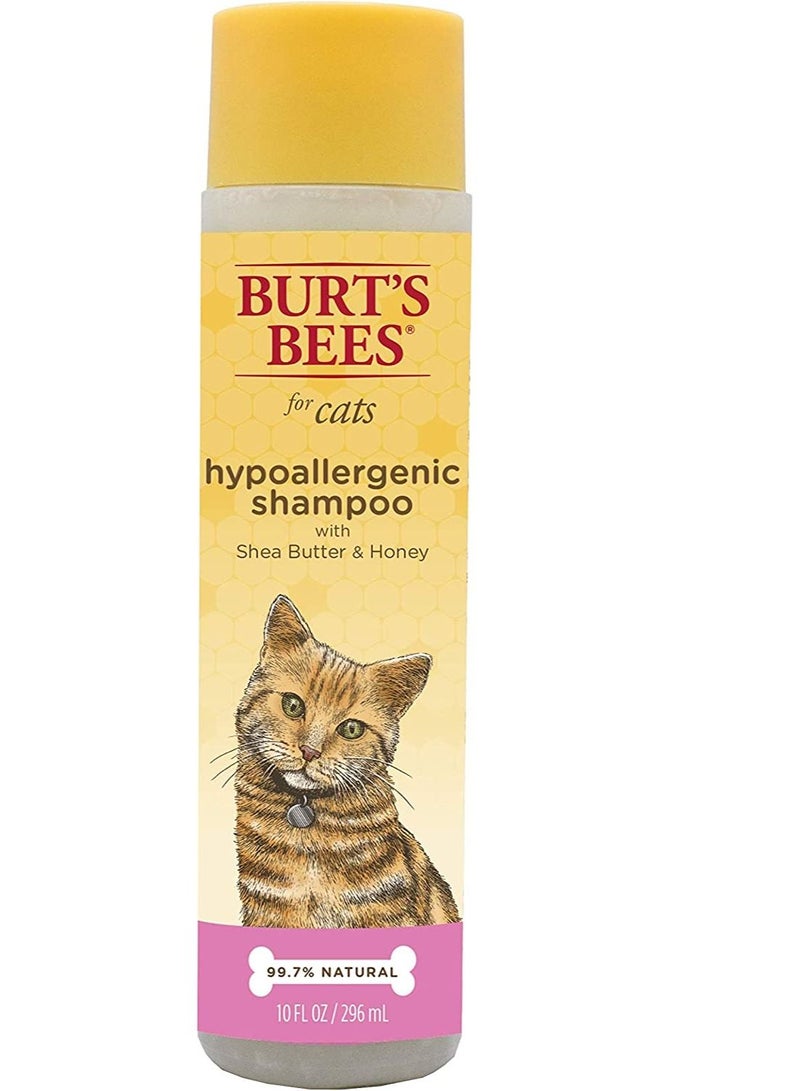 بيرتس بيز Burt's Bees for Pets For Cats Natural Hypoallergenic Shampoo With Shea Butter and Honey | Cat Shampoo, 10 Ounces - Image 1