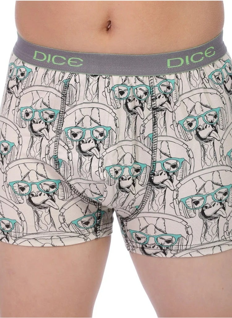 DICE Pack of 6 Printed Cotton Boxer for Boys  - Image 4