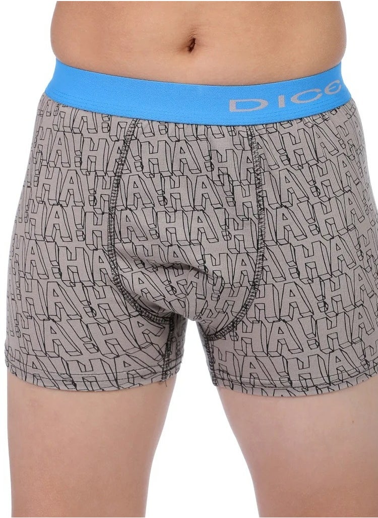 DICE Pack of 6 Printed Cotton Boxer for Boys  - Image 5