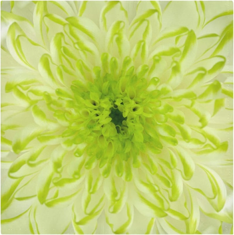 susiyo Lime Green Chrysanthemum Flower Cloth Napkins Dinner Napkin Set of 4 for Kitchen Parties Weddings Cocktail Christmas Halloween Thanksgiving Festivals - Image 1