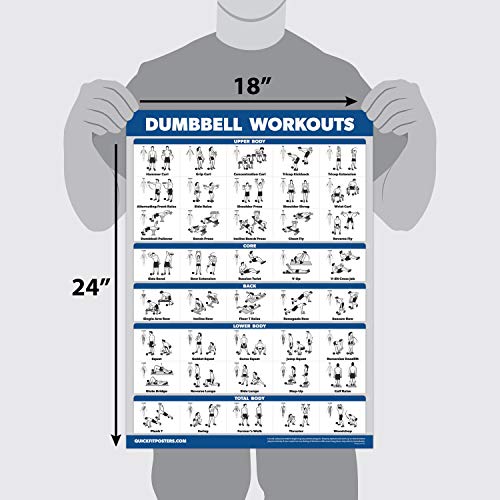 Palace Learning 4 Pack - Dumbbell Workout Posters Volume 1, 2 & 3 + Barbell Exercise Chart - Set of 4 Posters (LAMINATED, 18" x 24") - Image 2