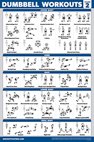 Palace Learning 4 Pack - Dumbbell Workout Posters Volume 1, 2 & 3 + Barbell Exercise Chart - Set of 4 Posters (LAMINATED, 18" x 24") - Image 4