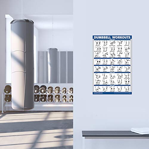 Palace Learning 4 Pack - Dumbbell Workout Posters Volume 1, 2 & 3 + Barbell Exercise Chart - Set of 4 Posters (LAMINATED, 18" x 24") - Image 5