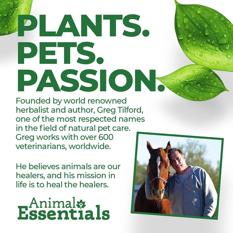 Animal Essentials Detox Blend - Liver Support for Dogs & Cats, Herbal Liver Supplement, Veterinarian Recommended Animal Wellness Tonics - 2 Fl Oz - Image 4