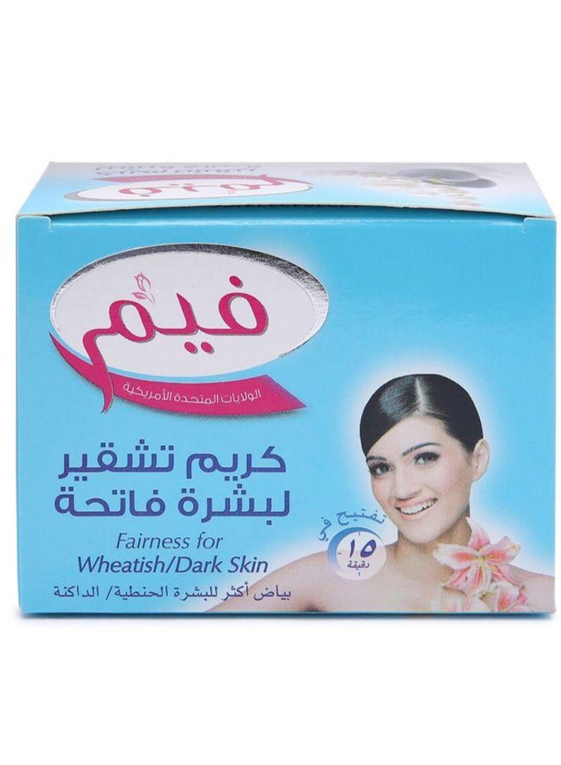 fem Pearl & Blueberry Fairness Cream Bleach 100g - Image 1