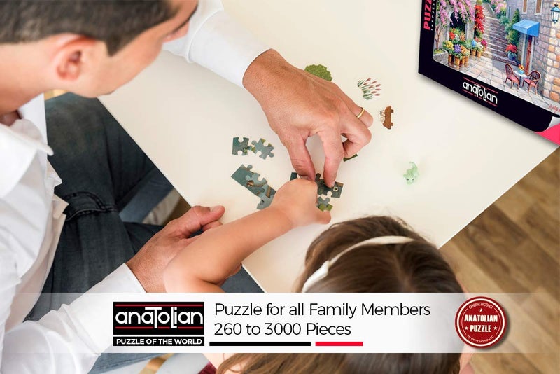 Anatolian Puzzle- 500 Piece Jigsaw Puzzle (Home Sweet Home) - Image 4