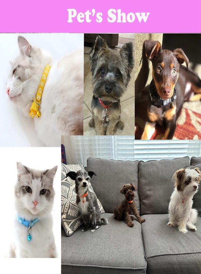 WeimoMonkey Cat Collars with Bell Leash Set, Nylon Basic Reflective Puppy Collar Boy Girls Paw Print for XXS Xs Small Dog Kitten Pet Animal Tiny,Grey - Image 3