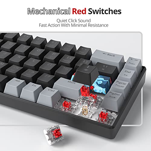 Owpkeenthy Portable 65% Percent Mechanical Gaming Keyboard, Mini Wired Ultra Compact RGB 68 Keys Office Keyboard with Red Switch Backlit for PC/PS5/XBOX(Dark/ 68 Red Switch) - Image 4