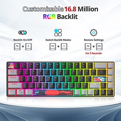 Owpkeenthy Portable 65% Percent Mechanical Gaming Keyboard, Mini Wired Ultra Compact RGB 68 Keys Office Keyboard with Red Switch Backlit for PC/PS5/XBOX(Dark/ 68 Red Switch) - Image 3