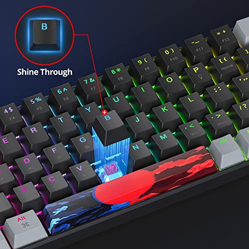 Owpkeenthy Portable 65% Percent Mechanical Gaming Keyboard, Mini Wired Ultra Compact RGB 68 Keys Office Keyboard with Red Switch Backlit for PC/PS5/XBOX(Dark/ 68 Red Switch) - Image 5