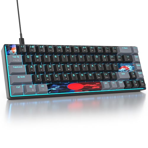 Owpkeenthy Portable 65% Percent Mechanical Gaming Keyboard, Mini Wired Ultra Compact RGB 68 Keys Office Keyboard with Red Switch Backlit for PC/PS5/XBOX(Dark/ 68 Red Switch) - Image 1