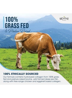 Revive Naturals Multi Collagen Protein Capsules Types I Ii Iii V & X Hydrolysed Grass Fed Bovine Wild Caught Marine & Freerange Chicken Made With Hyaluronic Acid & Vitamin C 120 Caps  - Image 5