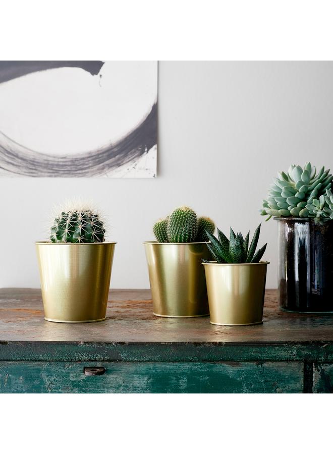 Zaboon Plant pot, brass-colour, 9 cm - Image 3