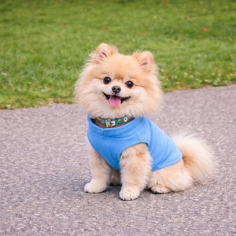 Jacko & Co - Fleece Vest Sweater with Leash Ring - 100% Cotton - for Puppies and Small to Medium Dogs, Kitten, Cats, Chihuahua - Warm for Fall/Autumn and Winter- Blue/Pink/Green/Grey/Black (Blue, M) - Image 4