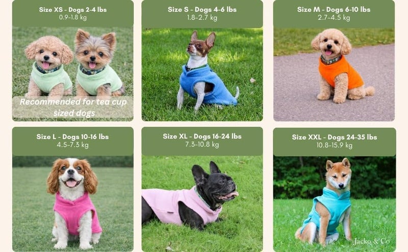 Jacko & Co - Fleece Vest Sweater with Leash Ring - 100% Cotton - for Puppies and Small to Medium Dogs, Kitten, Cats, Chihuahua - Warm for Fall/Autumn and Winter- Blue/Pink/Green/Grey/Black (Blue, M) - Image 5