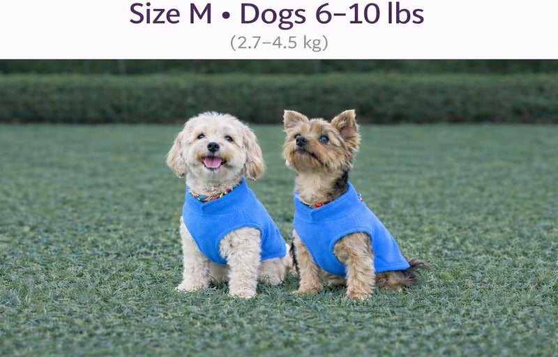 Jacko & Co - Fleece Vest Sweater with Leash Ring - 100% Cotton - for Puppies and Small to Medium Dogs, Kitten, Cats, Chihuahua - Warm for Fall/Autumn and Winter- Blue/Pink/Green/Grey/Black (Blue, M) - Image 2